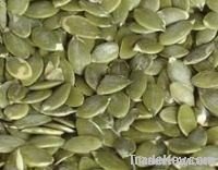 Pumpkin Seeds Grown Without Shell A