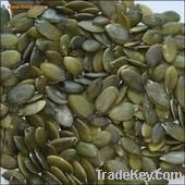 Pumpkin Seeds Grown Without Shell AA