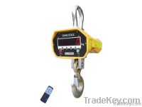 Electronic Crane scale