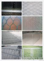 gabion/gabion box/gabion baskets/gabion mesh (15years, ISO9001)