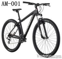 29-Inch Wheels Mountain Bike