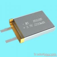 Lithium Polymer Battery