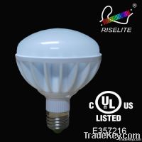 BR30 LED BULBS;