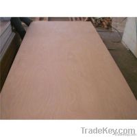 commercial  okume plywood