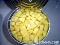 Canned Pineapple from China/Canned Fruits