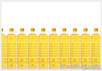 Sunflower Oil