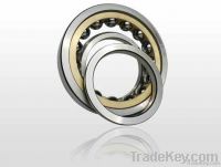 Four Point angular contact ball bearings