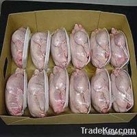 chicken box, frozen chicken carton box, PE lined cardboard, waterpoof box