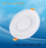 LED Two Color Panel Light 