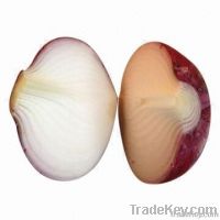 Red Onion