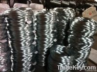 Galvanized Iron Wire