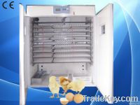 Automatic High Efficient Quail Egg Incubator