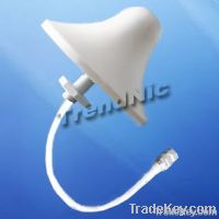 Ceiling Mount Antenna