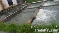 Industrial, municipal and living waste water treatment plant