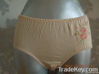 women underwear brief