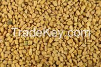 Fenugreek Seeds