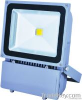 led floodlamp