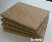 Poplar Plywoods