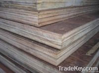 Container Flooring Plywood (28mm)