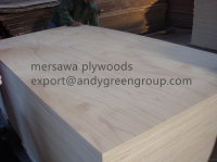 birch plywood