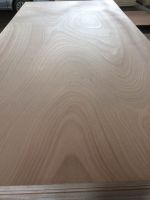 Poplar plywood