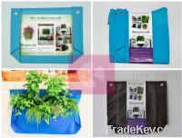 Mini-Greenwall planter -- Bring you not only just fresh air