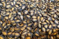 Flax Seeds/Chia Seeds/Sesame Seeds