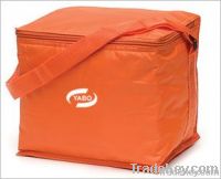 Can cooler bag