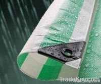 PP/PE tarpaulin sheet, Tarpaulin rolls, PP laminated woven fabric