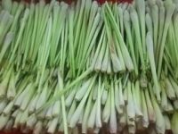 lemongrass