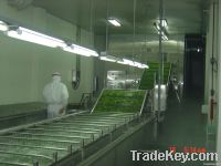 Soybean Processig  Machinery