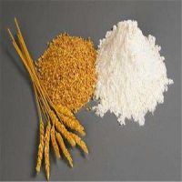 Hydrolyzed Wheat Gluten