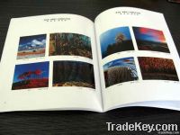 Full Color Brochure Printing