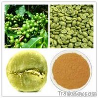 Green Coffee Bean Extract