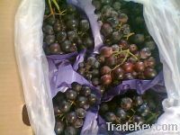 Fresh Seed Grapes