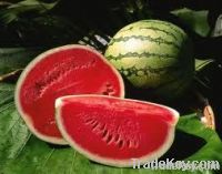 fresh water melon