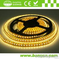 5050 RGB LED Chasing Strip (Waterproof IP65)