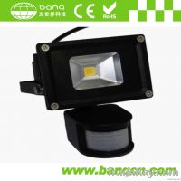 10W High Power LED Floodlight with Sensor