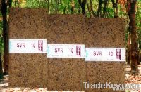 Natural Rubber SVR10