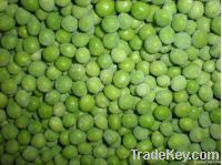 2013 Frozen Green Peas