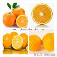 Sweet Fresh Navel Orange