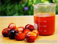 Crude Palm Oil (CPO)