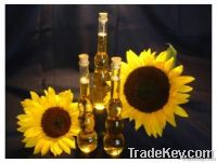 Sunflower Oil