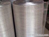 1/4'' welded wire mesh