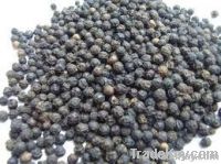 Black Pepper 500g/L-550g/L