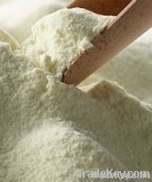 Skimmed Milk Powder