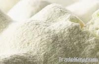 Whole Milk Powder