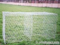 hexagonal wire netting