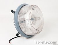 IP65 LVD Induction Lamp Engergy Efficient Light-Ceiling Light