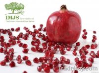 POMEGRANATE &Atilde;&Acirc;&laquo; Punica Granatum &Atilde;&Acirc;&laquo; ANCIENT TREASURE &Atilde;&cent;&iuml;&iquest;&frac12;&iuml;&iquest;&frac12;Powerful Antioxidant